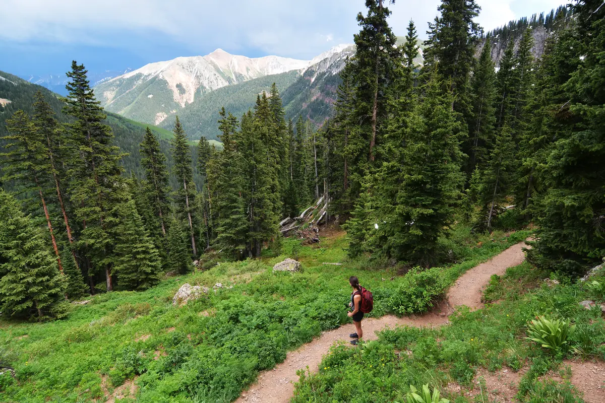 Nature Hikes & Forest Trails