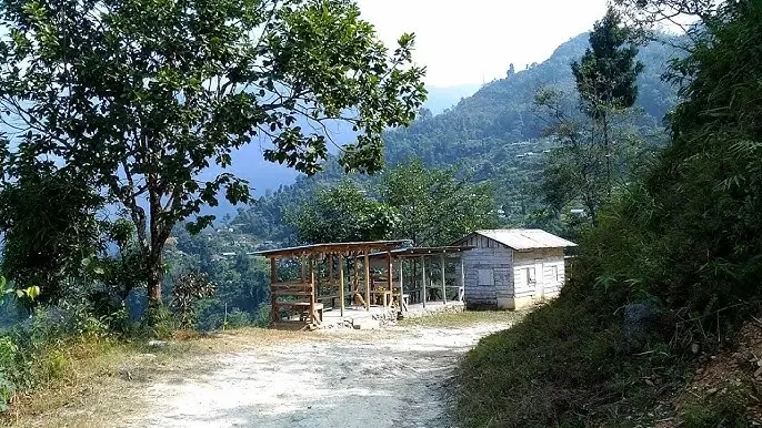 Village Life Exploration